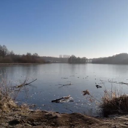 Bielefeld, Obersee, Schildesche, Schildske, Naturschutzgebiet, Erholung, Bielefeld See, Liebefeld